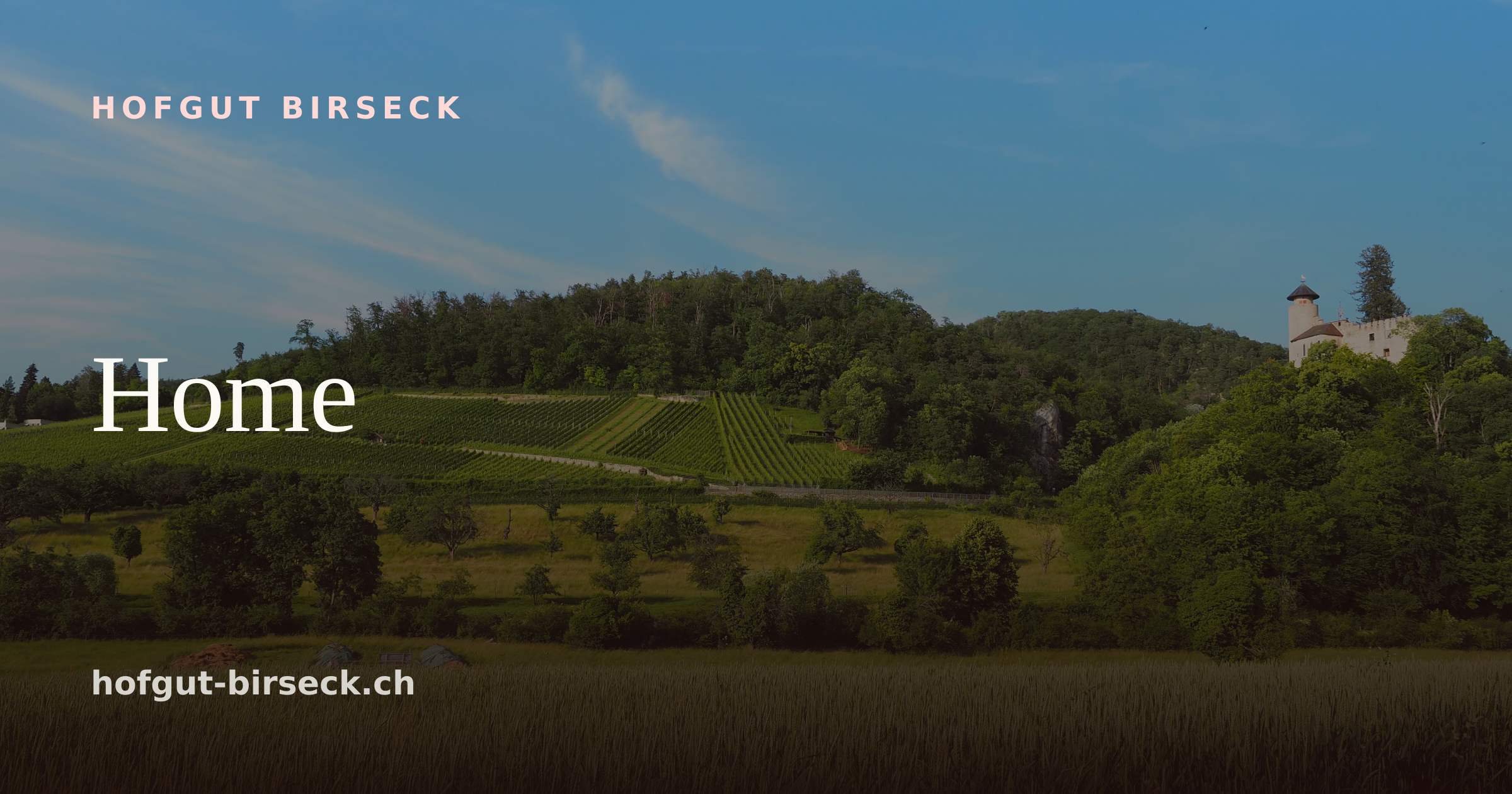 Andlauerhof